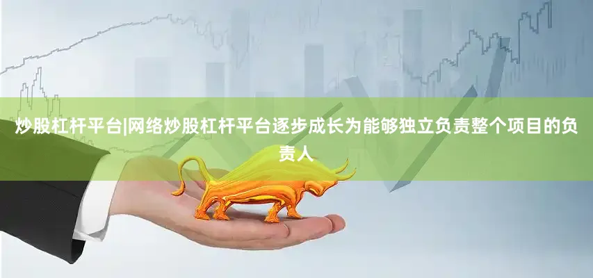 炒股杠杆平台|网络炒股杠杆平台逐步成长为能够独立负责整个项目的负责人